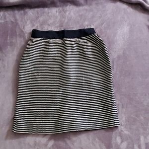 Ann Taylor Loft Skirt